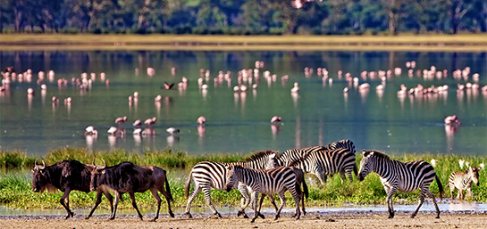 ¿Es seguro viajar a Tanzania?