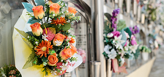 ¿Cuál es la duración de un nicho en propiedad?