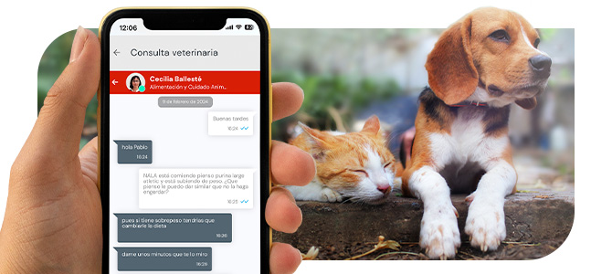 videoconsulta-y-chat-veterinario-seguro-mascotas-mapfre-image-content-670x300-mobile-2 mobile con 767x550 1